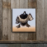 Bluebill Coming At Ya 8X8