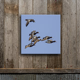 Bluebill Squadron 8X8