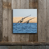 Canada Pair 8X8