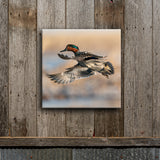 Greenwing Take Off 8X8