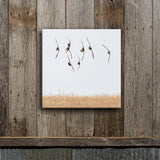 Greenwings Banking 8X8