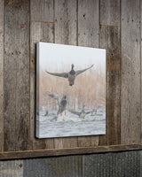 Mallard Blast Off