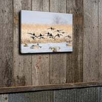 Ringneck Flock Canvas Print
