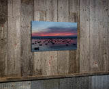 Sunrise Decoys Canvas Print