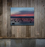 Sunrise Decoys Canvas Print